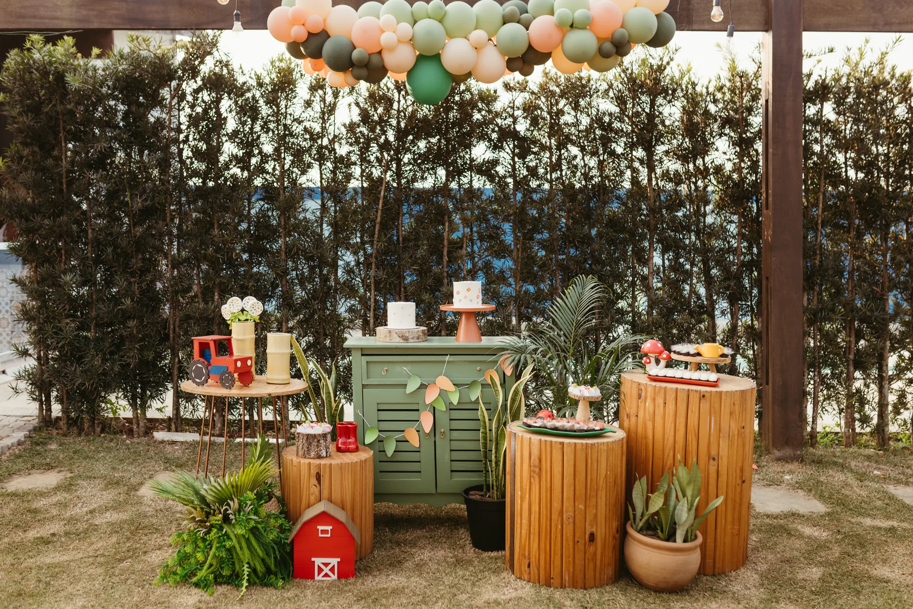 Decoración de cumpleaños al aire libre