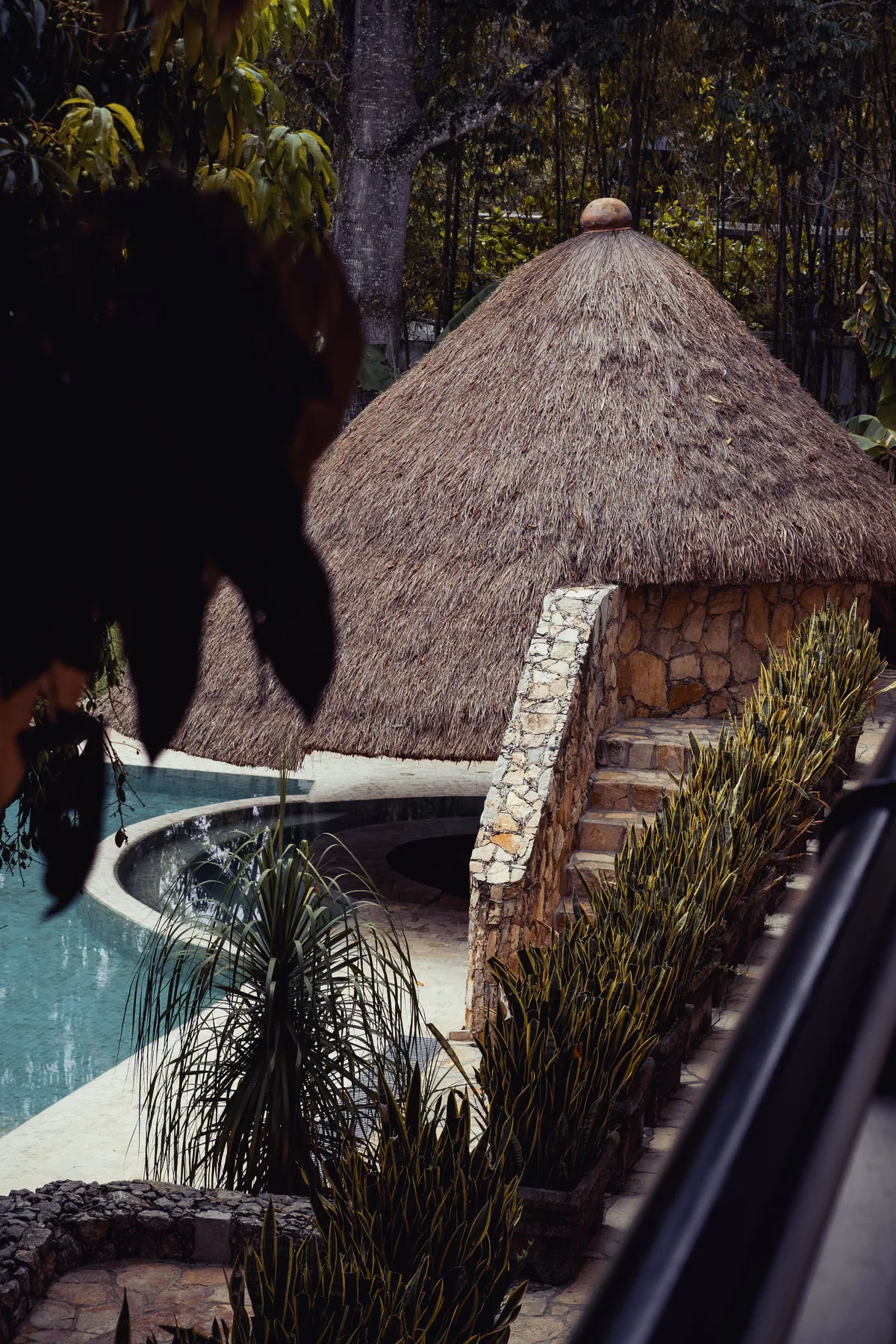 Piscina rodeada de vegetación